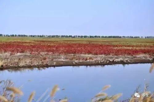 黄骅记忆 | 贾漫：故乡黄骅历史风云