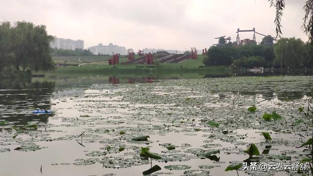 盘点西安那些羽化的风景