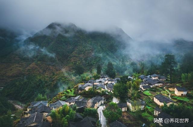 他们住在树上，探秘云南“树上人家”
