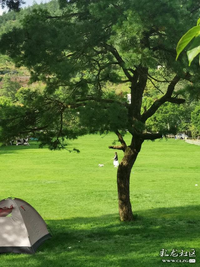 团结乡滑草场：找一片草地去打滚