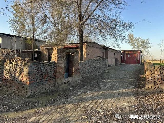 冠县乡韵·贾镇荆楼村