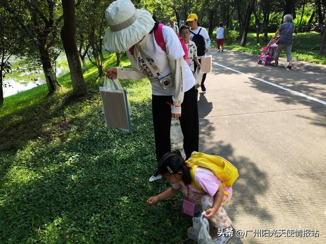全民有氧计划 | 三校十四组亲子共探大夫山，27名“小探险家”共解榕树密码