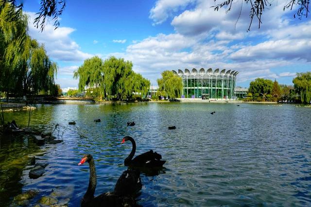 北京世界花卉大观园 四季繁花的梦幻天地