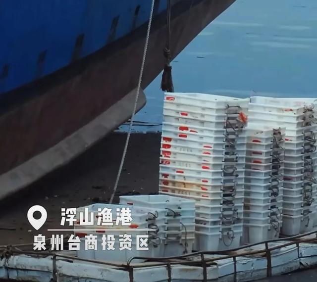 300多趟动车途经泉州！来这里实现海鲜自由！