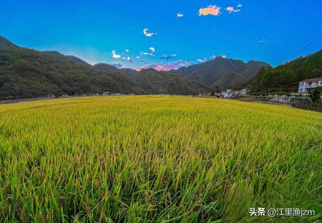 西川：秦岭深处的水墨长卷