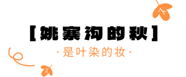 最靓的武都来了，别眨眼🤩