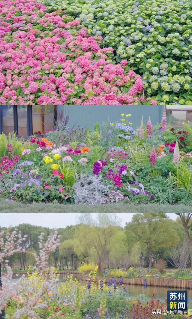 终于盼来了！接下来的上方山即将刷屏