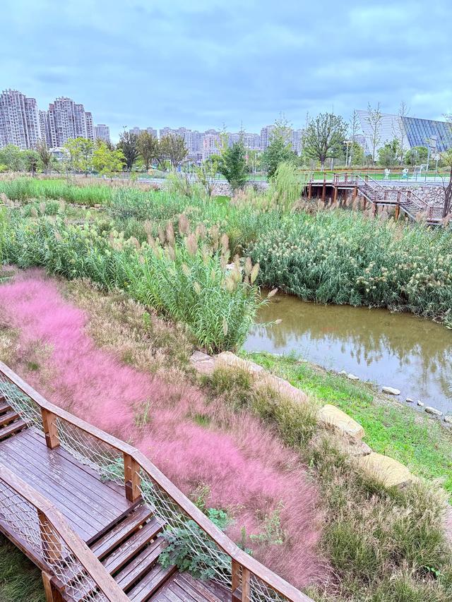 秋水板闸（大运河系列·淮安板闸遗址公园）