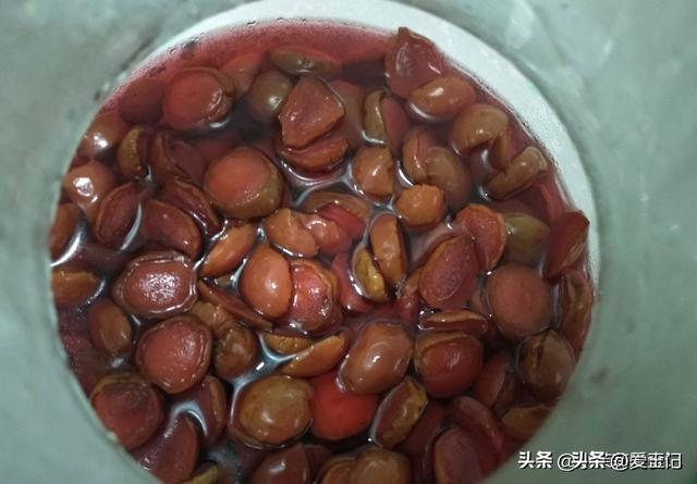 一健脾，二消炎，三养心，遇到买10斤，一切一晒，酸甜可口有嚼劲