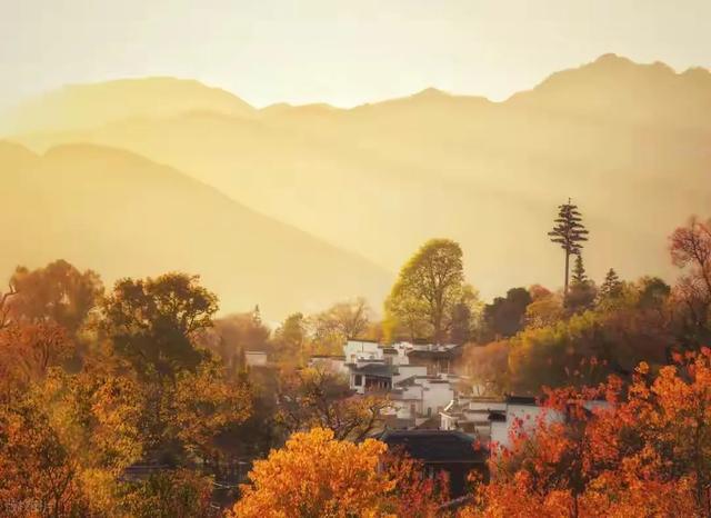 《土楼阳产秋晒》/郭兴华