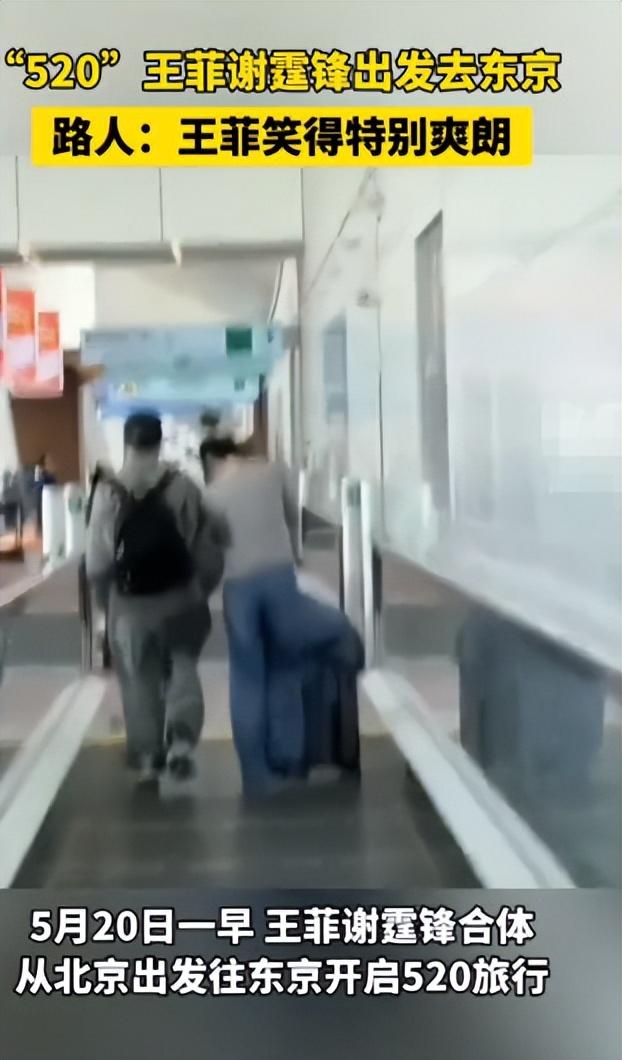 谢霆锋也没想到，自己的甜蜜女友王菲，竟走上了和张柏芝一样的路