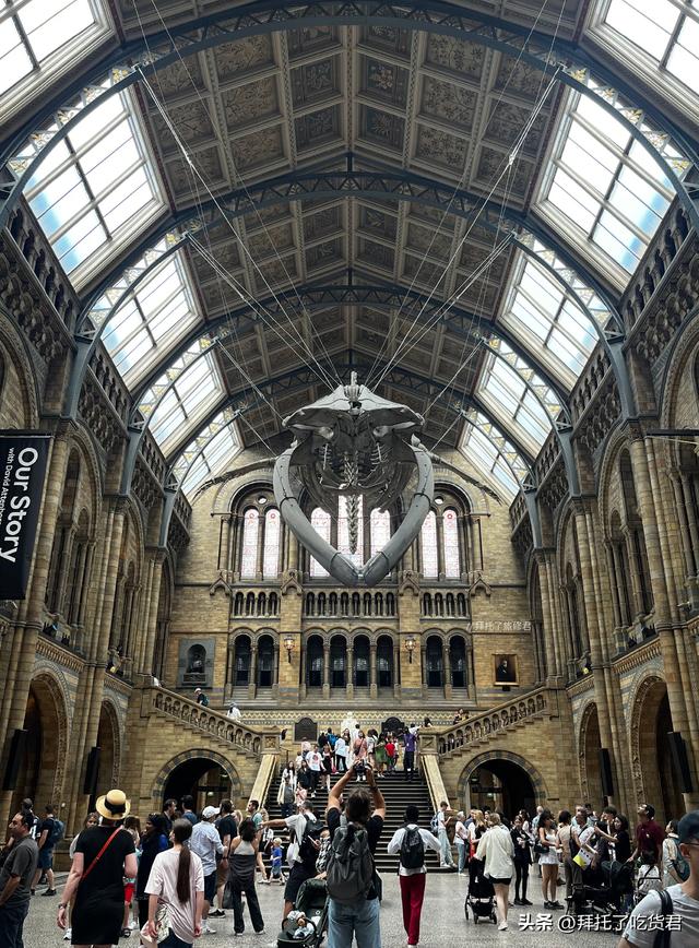 英国自然历史博物馆：一场穿越时空的旅程