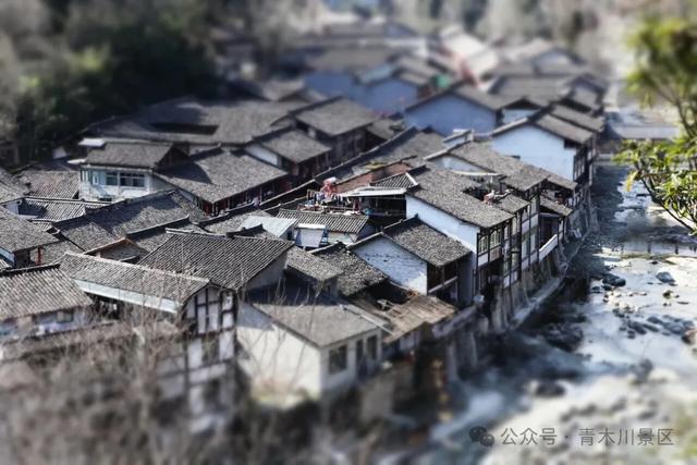 风从三省来!一封来自青木川的时光函→