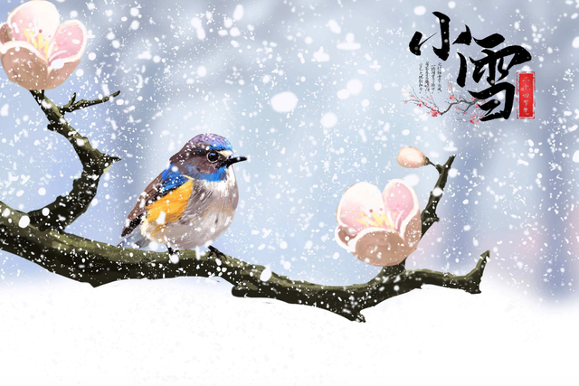 明日小雪！“上午小雪冻死牛，下午小雪暖烘烘”，今年是冷冬？