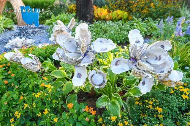 厦门双园盛事!花境艺术×食虫奇观,限时体验指南→