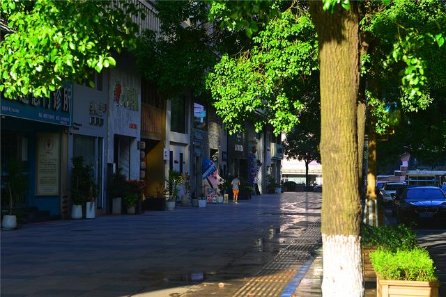 【老丁游记】20251002-1012 国庆假期南游记08