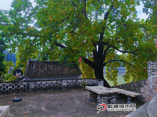 百千万巡礼｜增设油菜花海、亲水碧道……勒北将大变样