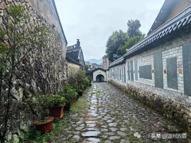 夏天你不能错过的浙南九寨沟！幽谷俊山，碧波荡漾，美得不像人间