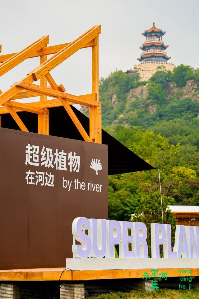 超美点位！来石景山，用镜头打开“两园一河”永定河集——