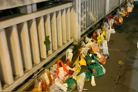 胖猫被骗感情，给女主转51万跳江，女主想推卸责任，评论炸区了图片