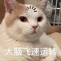 京东突然官宣发新车！怎么电商也来造车了？
