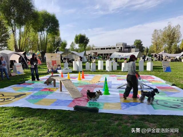 秋日限定惊艳！来美好农场赴一场文化艺术之约→