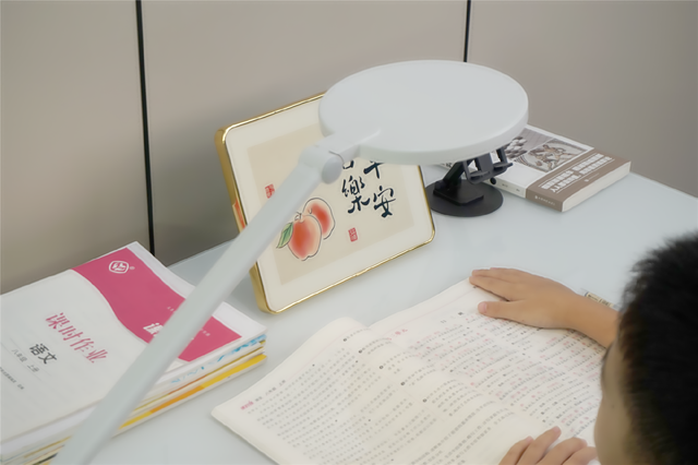 真对不起孩子的熬夜学习，我承认入手晚了，书客SKY护眼台灯体验