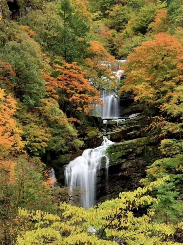 周末秋游石门栈道、黎坪、龙头山、兴汉胜境两天一晚深度游上线！