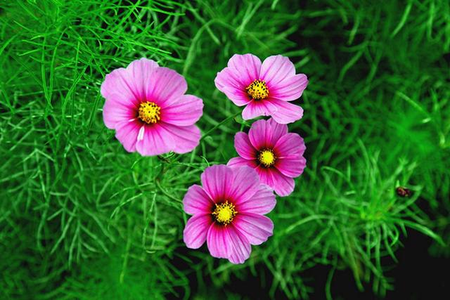 爆款标题：人这一生，最大的憾事莫过于相遇越无法相拥。