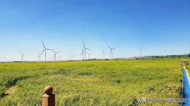 乌鲁木齐一柴窝堡湖湿地公园