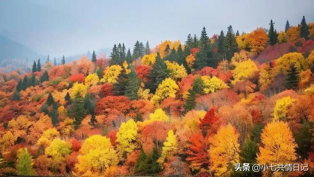 让你瞬间释怀的走心文案，建议永久收藏。