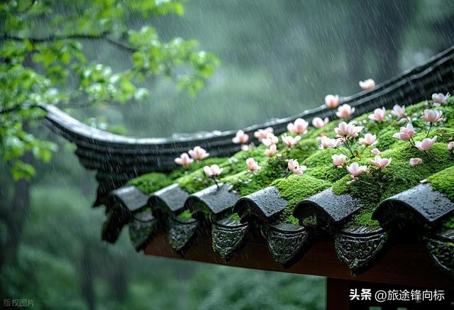 梅子黄时竟不是雨季？南宋诗人私藏的江南秘境，古道藏着初夏时光