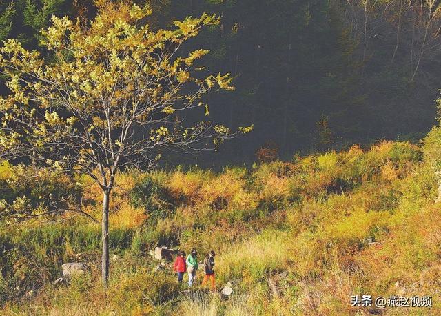 石家庄周边赏红叶地图来了 登高赏秋看红叶 层林尽染绘彩卷