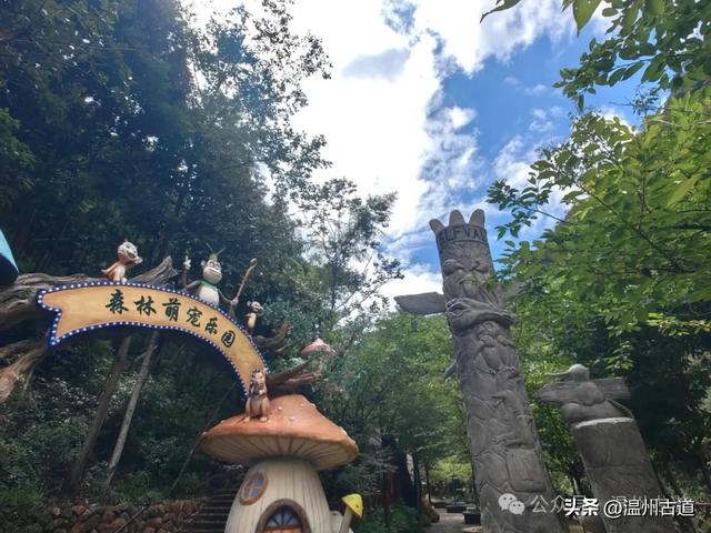 浙江小众绿宝石秘境！一个很多温州人都不知道的宝藏景区