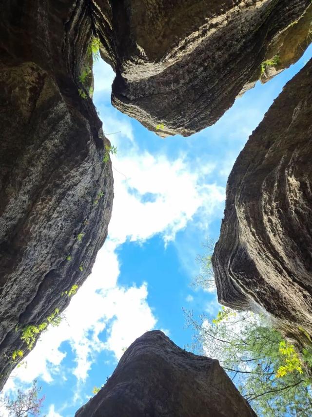 半价优惠！黎坪景区和留坝山水联动！为您打造“清凉续集”→