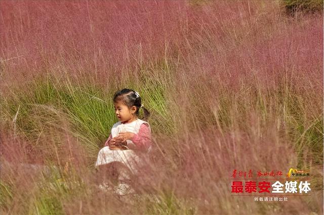 邂逅粉色花海，秋日限定浪漫“上新”