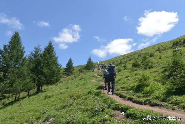 河北麻田岭（上）：绿野铺毡接云影、风轮伴路探山魂