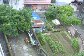 韶关一居民家成小型养鸡场？邻居崩溃：又脏又臭，还睡不好觉！图片