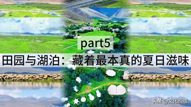夏日避暑，西藏这里赢麻了!