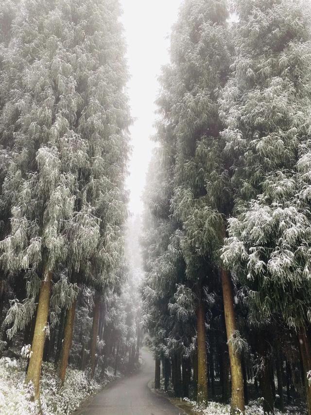 一般的拼豆我不拼，但你要说剑门关的拼豆我可感兴趣了！