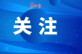 环境精准调控 无抗饲料研发 数智化管控——农科专家创建白羽肉鸡健康高效立体养殖模式图片