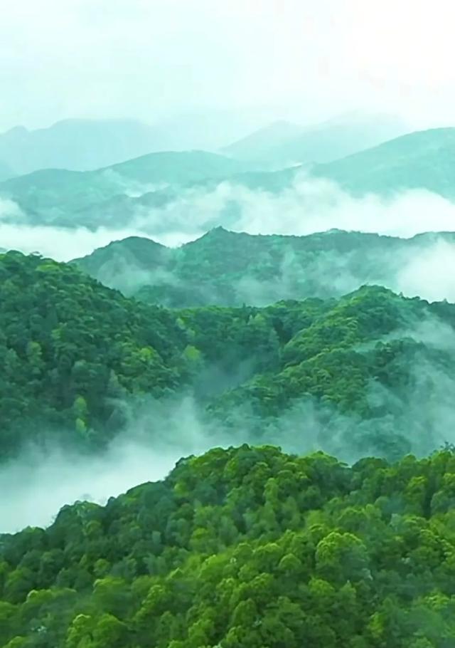 云雾缭绕，风光无限美，人间仙境！