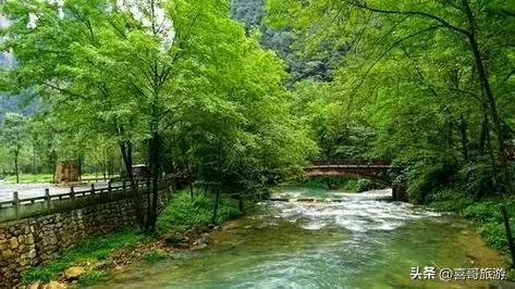 画中游：张家界金鞭溪大峡谷的仙境漫步