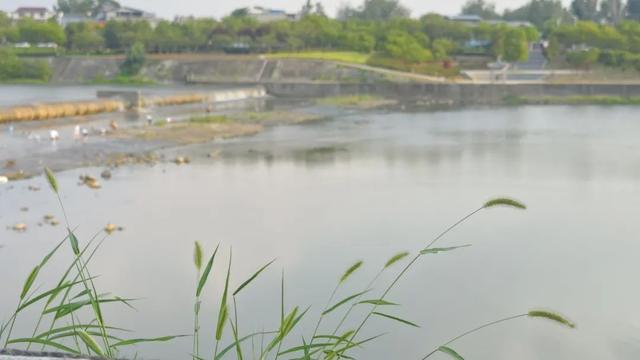 大美泌阳：小城藏锦绣 湿地绘丹青
