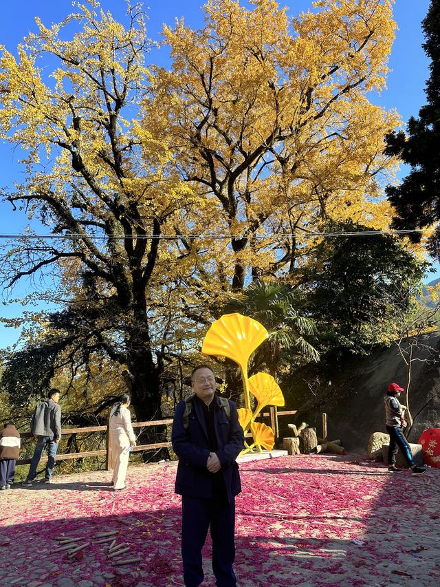 郁郁银杏无非般若，青青溪石尽是法身：宜春南惹古村印象（聂朋