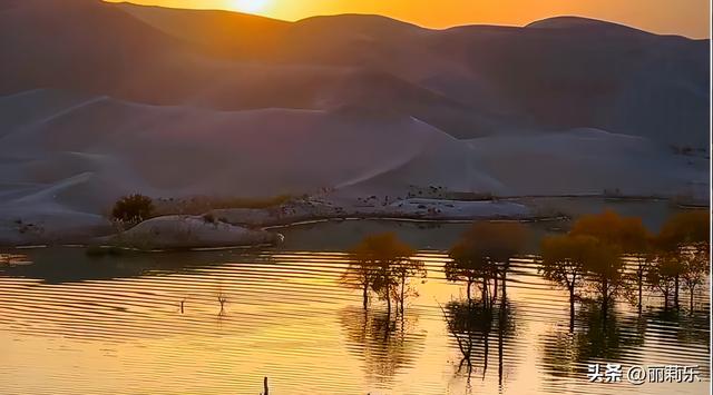 天呐！沙漠里的“金色水上森林”，日落一照直接封神