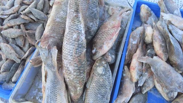 森林小镇莫尔道嘎 冬日里的烟火慢时光