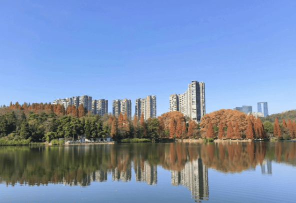 14个免费公园遛娃全攻略：看猴、玩水、露营、徒步一次集齐！速藏