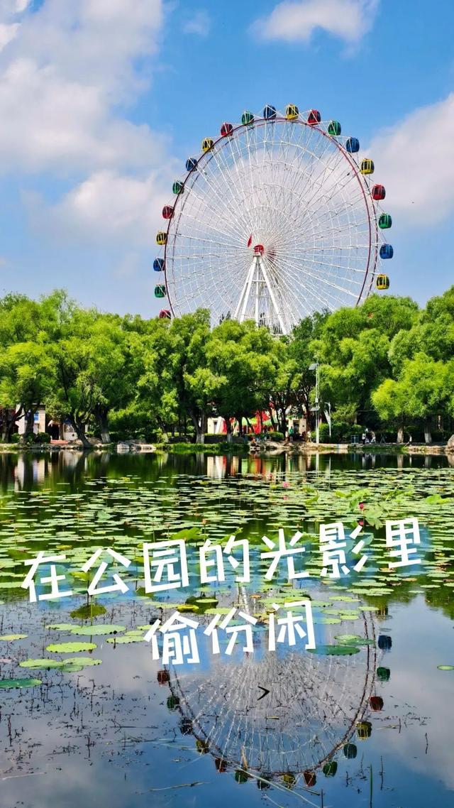 回民区：在青城公园捞一捧清凉