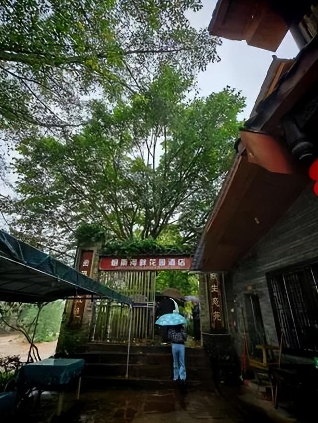 老兵军嫂游柳江：曾家园里看古树，烟雨河畔话当年
